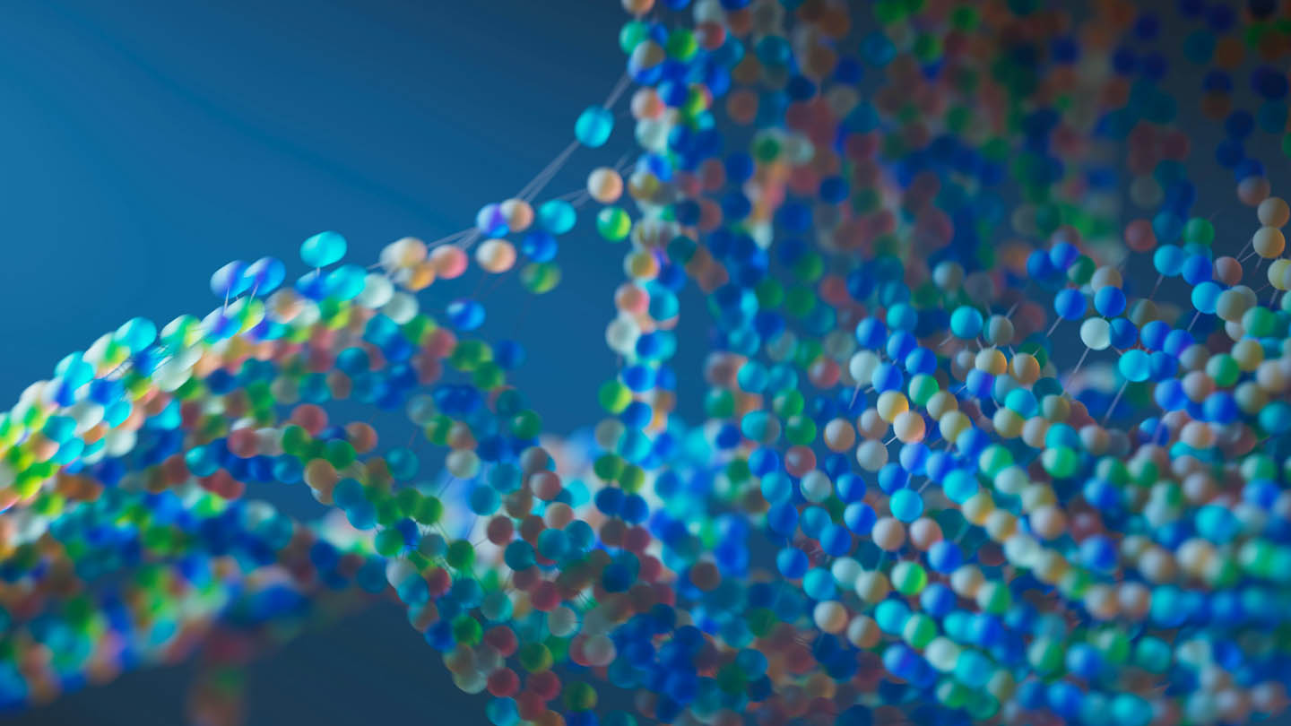 The Future of Human-Machine Collaboration