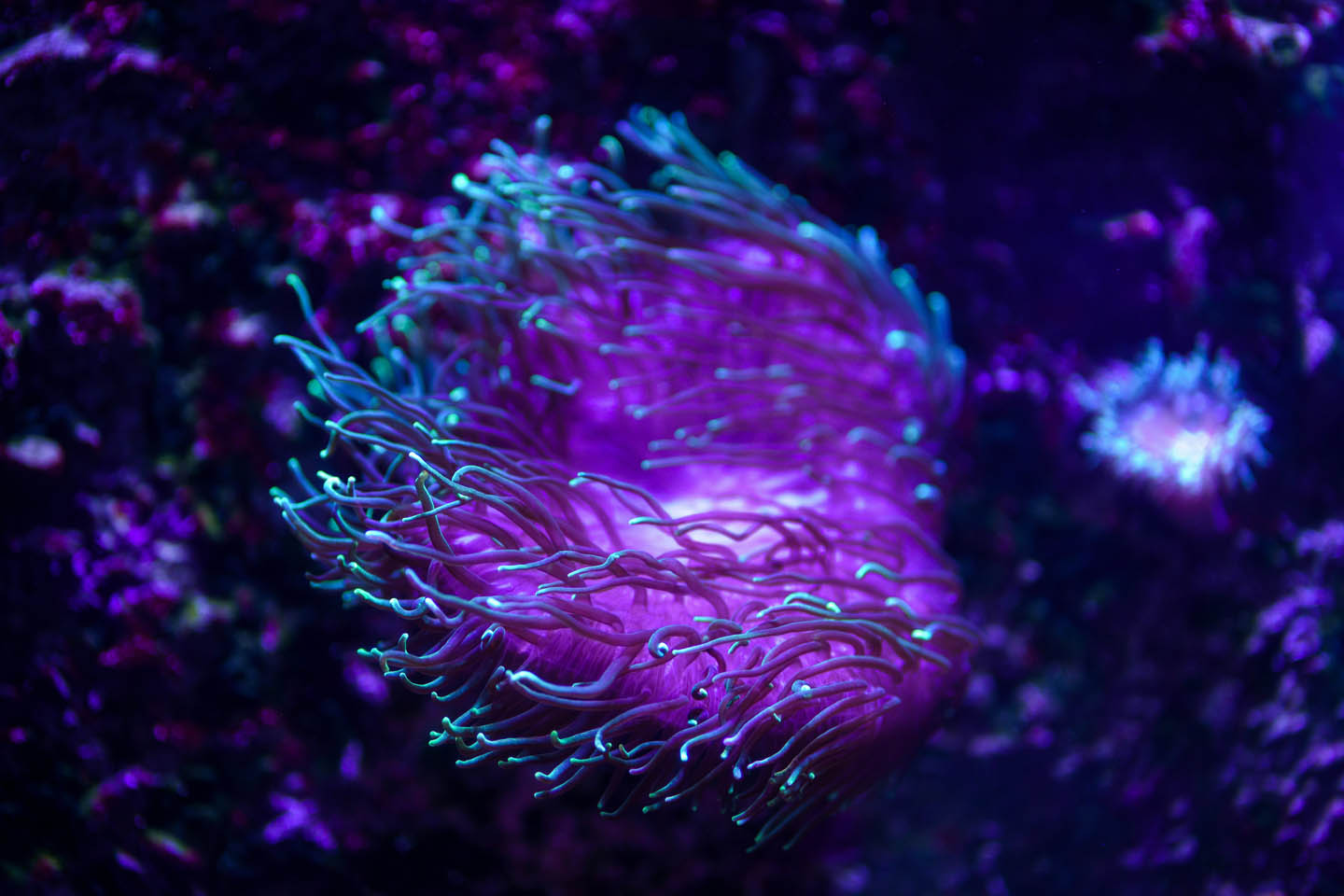 Making AI Show Its Reasoning